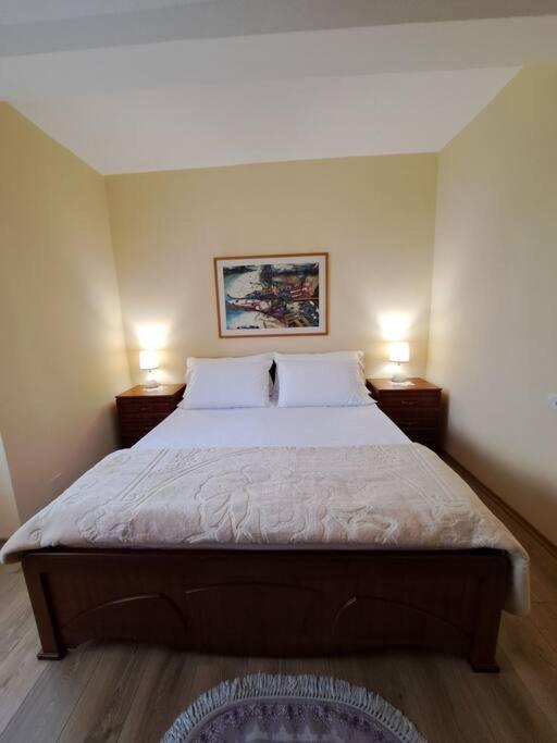 Quiet, Cozy, Luminous Apartment 티라나 외부 사진
