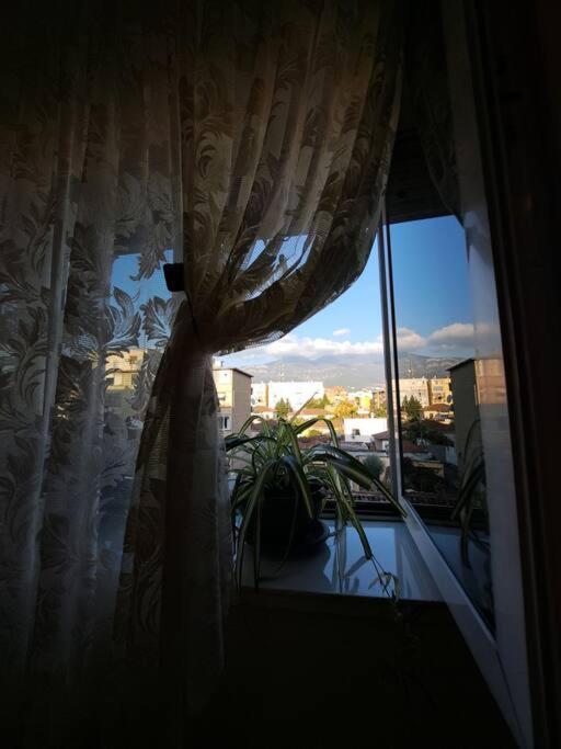 Quiet, Cozy, Luminous Apartment 티라나 외부 사진